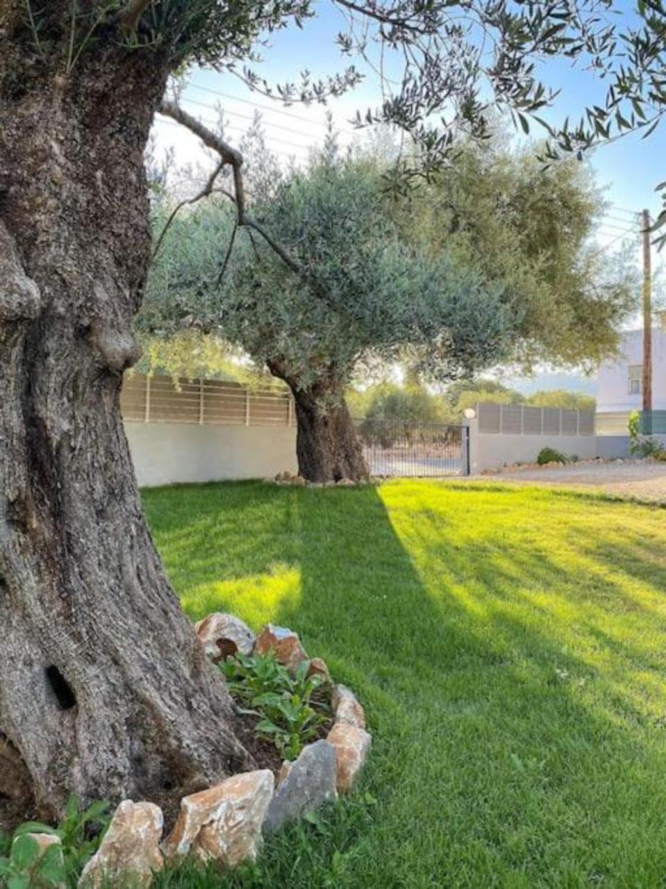 Olives Villa Sinoikismos Kambos Exterior foto