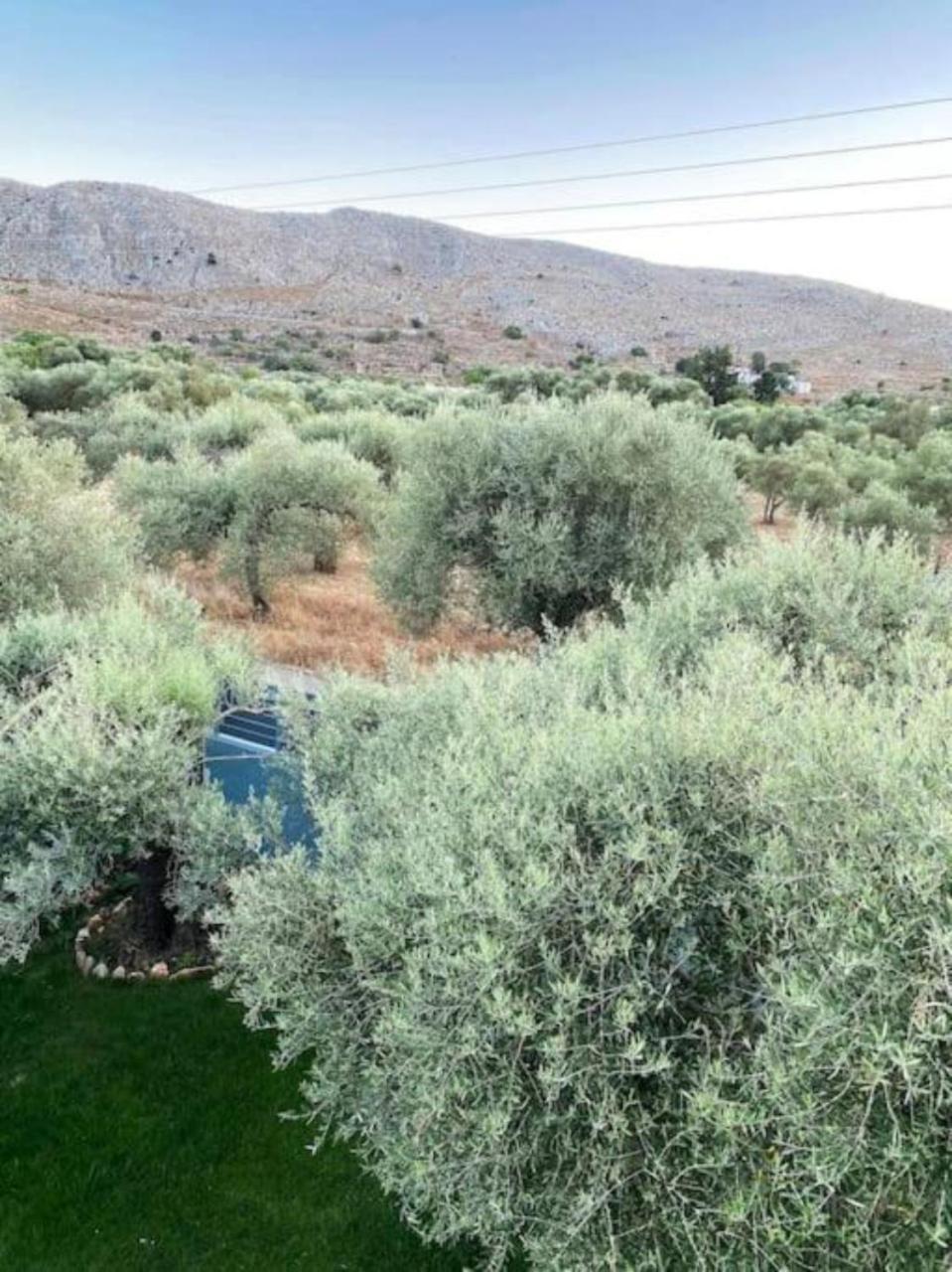 Olives Villa Sinoikismos Kambos Exterior foto